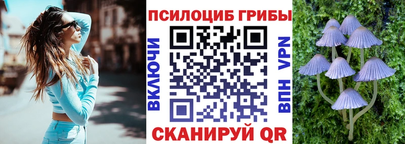 Галлюциногенные грибы Cubensis  Купить  Ростов-на-Дону 